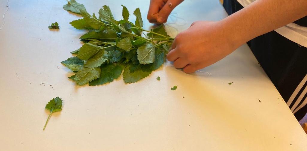 Schüler_Gartenarbeit Schüler_Gartenarbeit