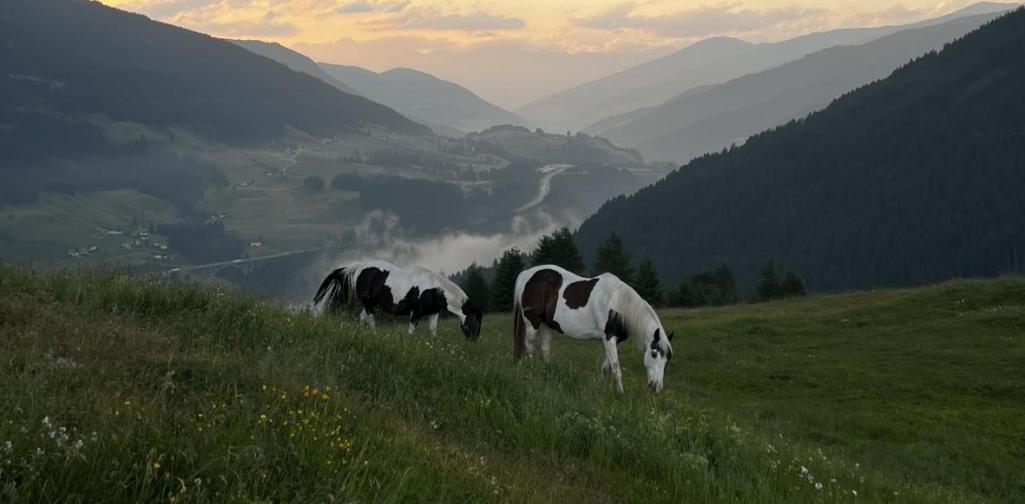 sattelberg2 sattelberg2