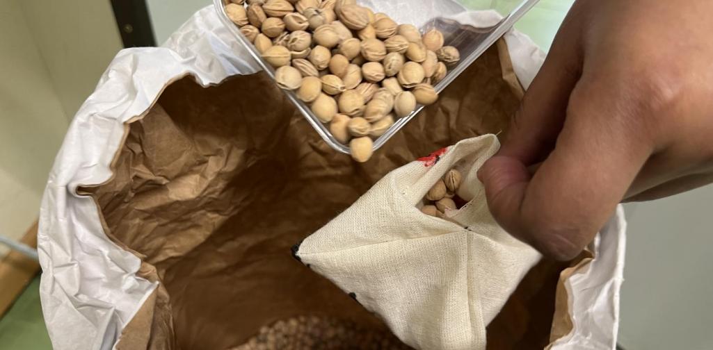 jonglierbälle_3 jonglierbälle_3