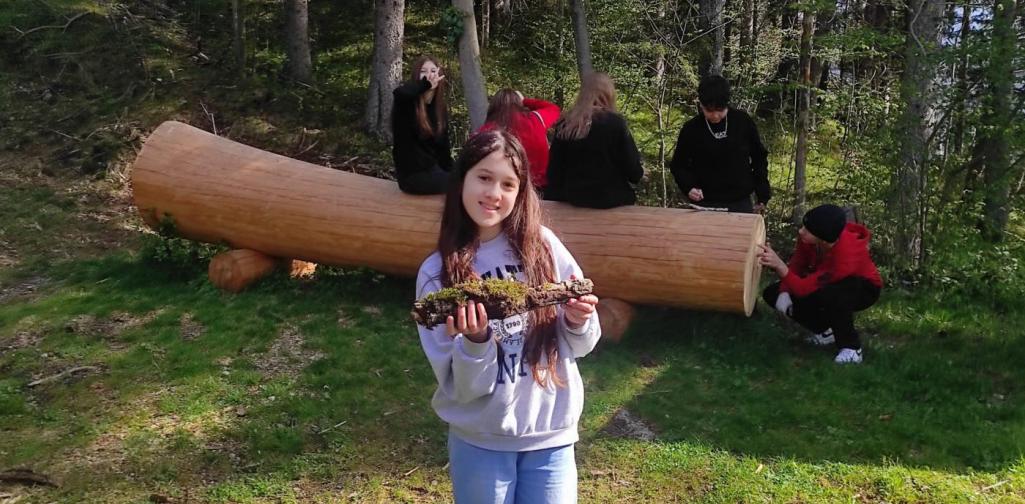 Waldschule4 Waldschule4