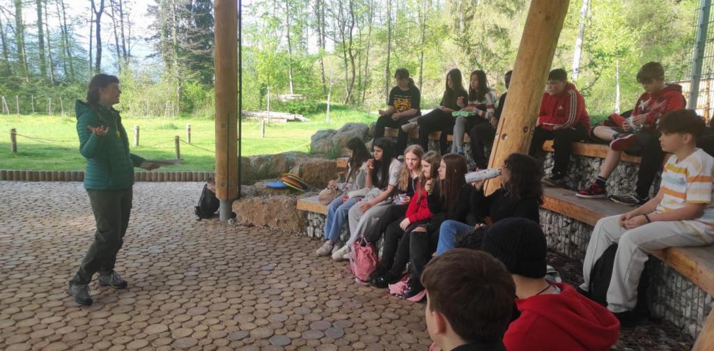 Waldschule5 Waldschule5