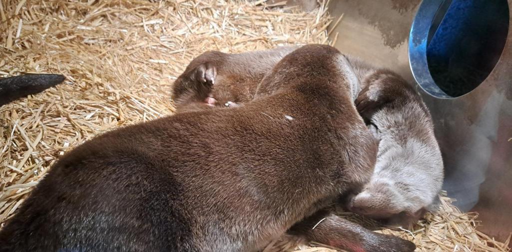 wandern_2b_3 wandern_2b_3